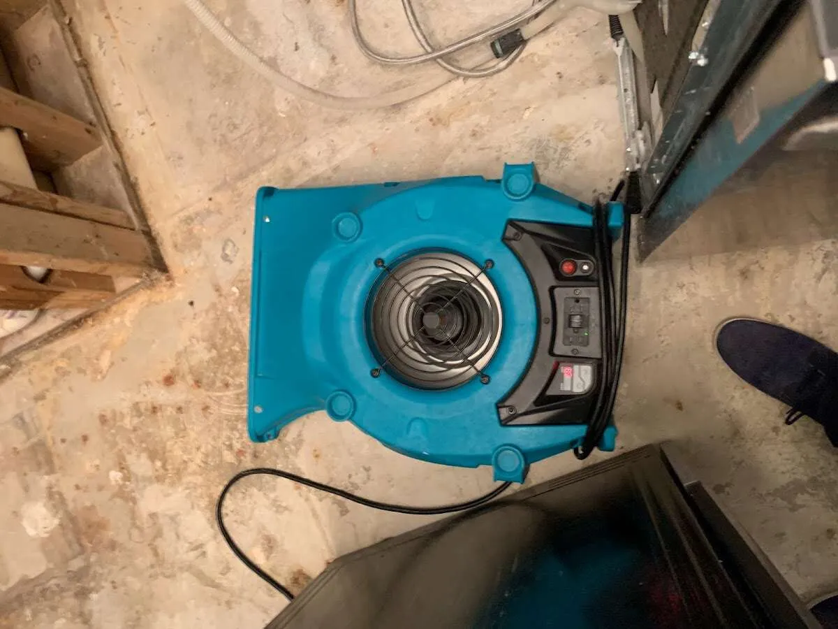 Air mover drying equipment for Mold Remediation & Removal in Winnetka